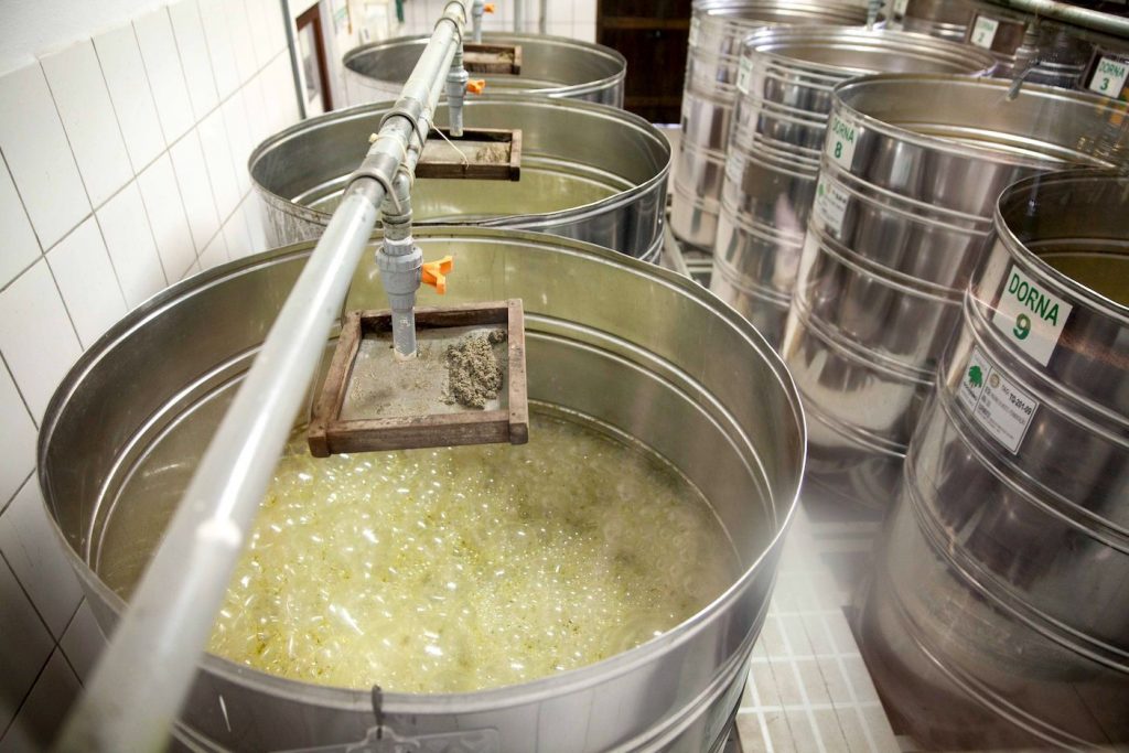Controlando a formação de espuma na fermentação da cana de açúcar 66