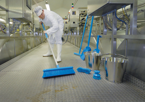Guia de Limpeza Manual na Indústria de Alimentos no Brasil - Biosan