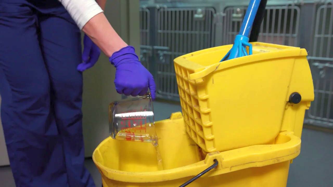 Como fazer diluição de produtos de limpeza concentrados: Guia para profissionais 1
